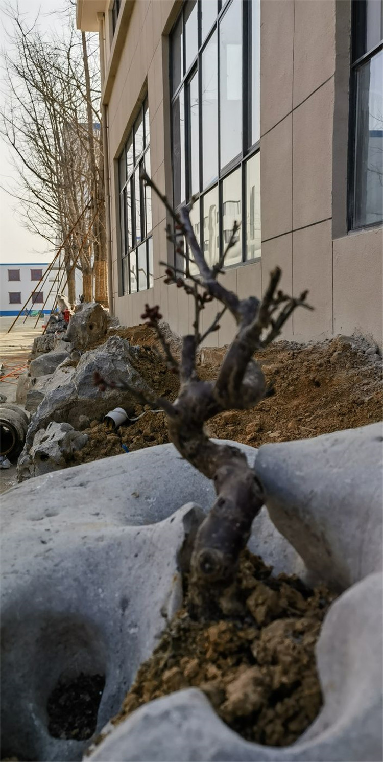 1673596582129121.jpg 42.jpg